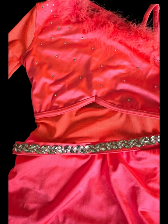 Girls Weissman Coral Pink Competition Dress with Feather Trim Dance/Ice Skating - Picture 4 of 13